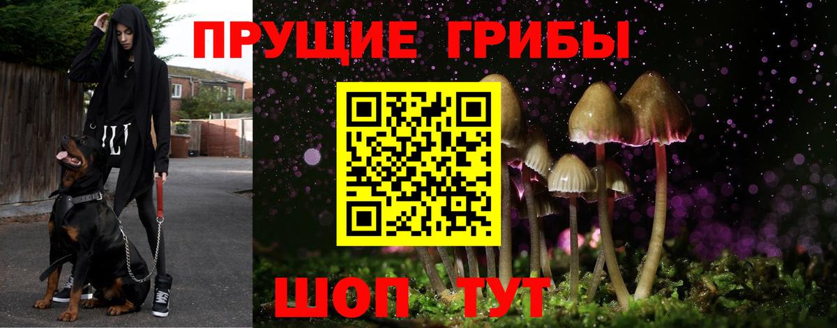 Сарапул  Галлюциногенные грибы прущие грибы  Вход с VPN 