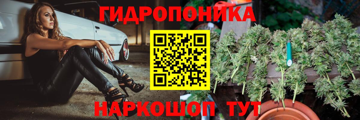 Марихуана семена  МАРИХУАНА ГИДРОПОН  Бошки Шишки SATIVA & INDICA  Вход с VPN  Сарапул 